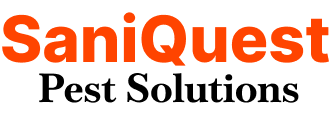 saniquest